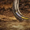 Pneu Michelin DH 22 Racing Line 29" - Image 7