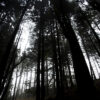 Freio a Disco Hope XCR Pro E4 - Imagem 2